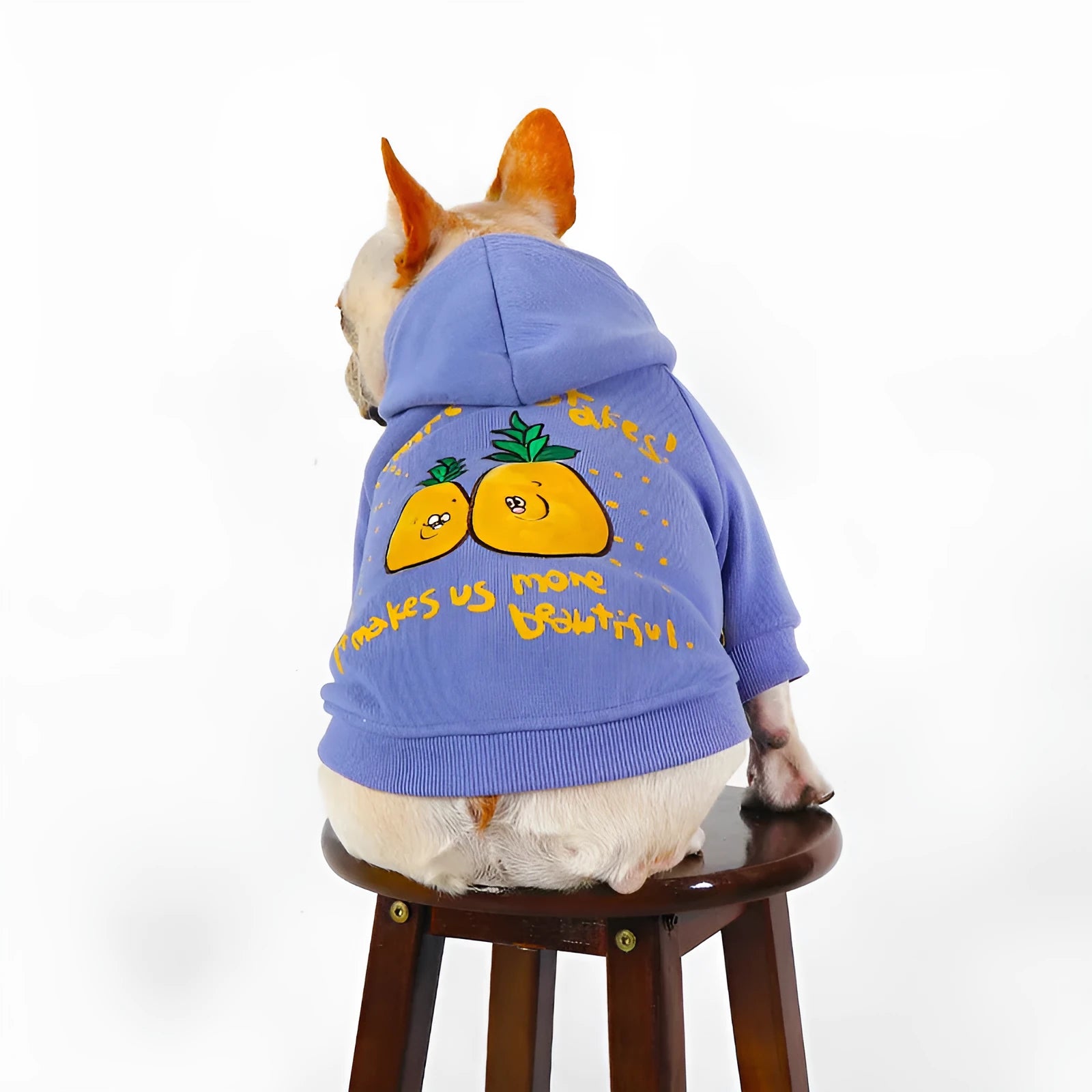 Blue and purple cartoon printed cotton hoodie for a dog on a white background