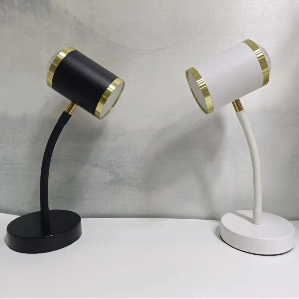 Black and white double-headed photography studio lamp with adjustable arms and metal base