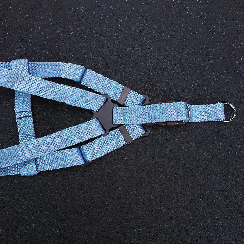 Nylon dog traction belt hand-held rope in blue for small medium large pets walking training