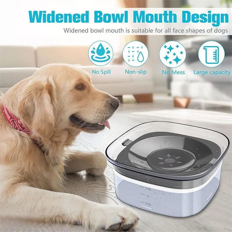 Transparent 2 litre dog water bowl with floating disc showing water level visibility