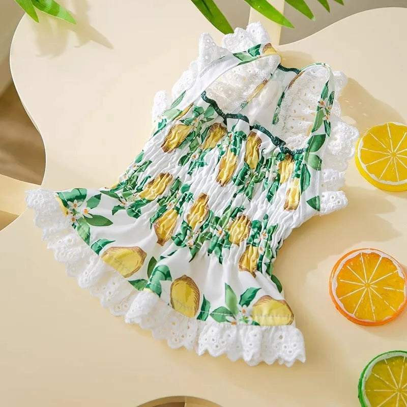 Rock yellow lemon polyester dog dress with breathable straps for small to medium dogs