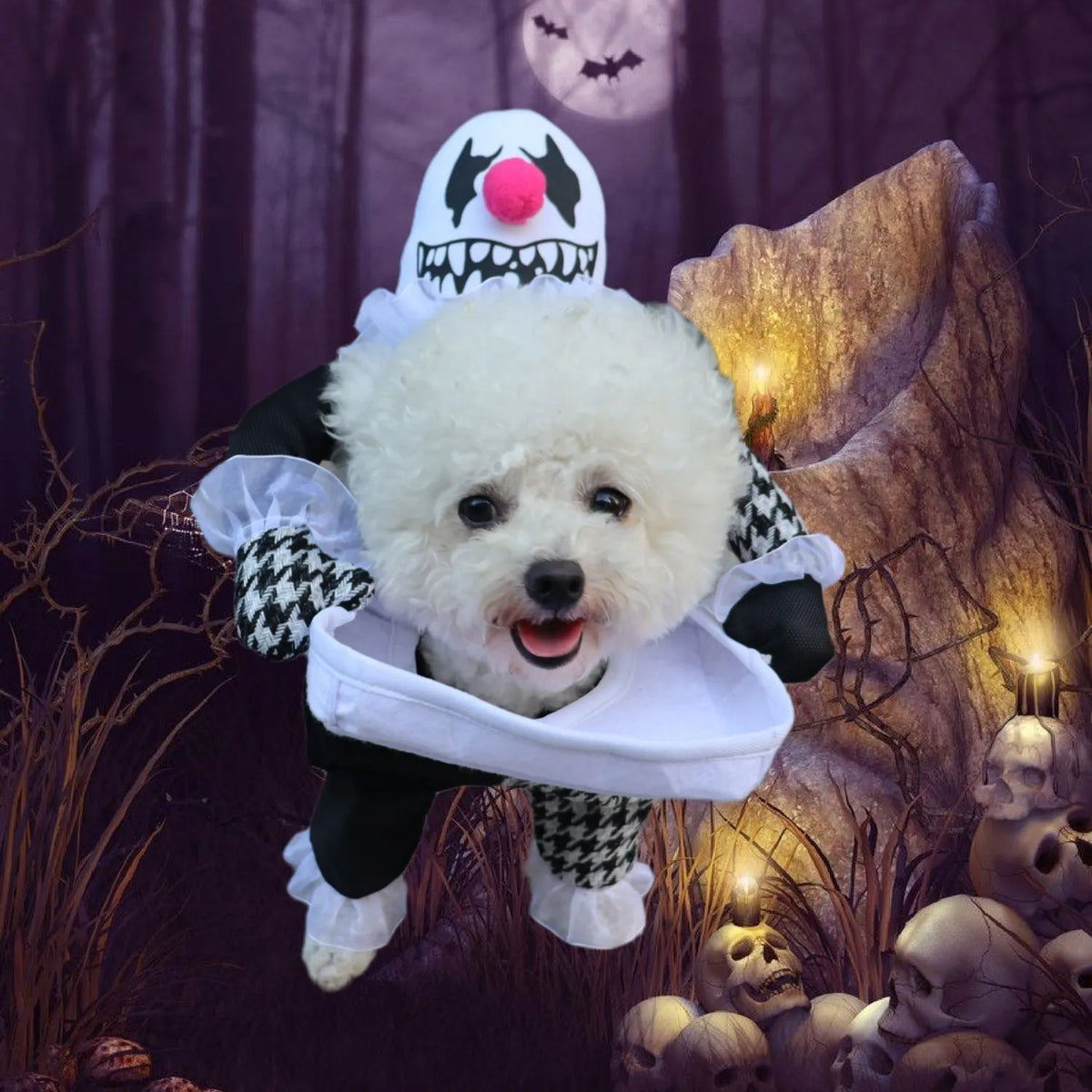Pet Halloween costume demon transformation in big devil colour, cloth, sizes S and L