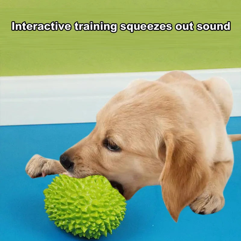 Durian-shaped dog chew toy in bright colours with teeth-cleaning ridges and squeaker ball