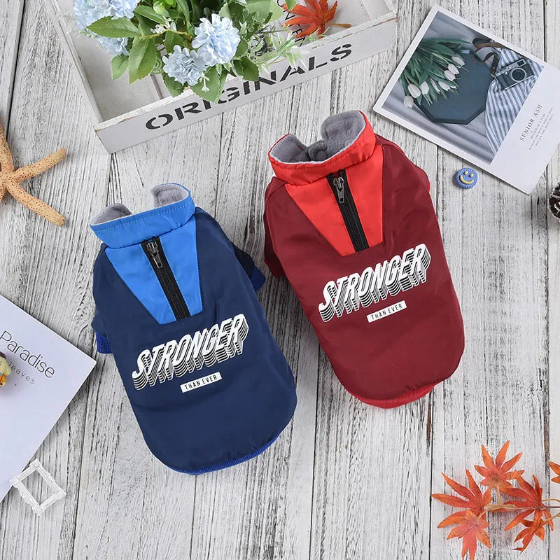 Red or blue thick cotton V-neck dog coat shown in sizes from XS to 3L for winter wear.