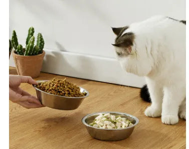 Stainless steel pet food bowl with non-slip base on a kitchen floor