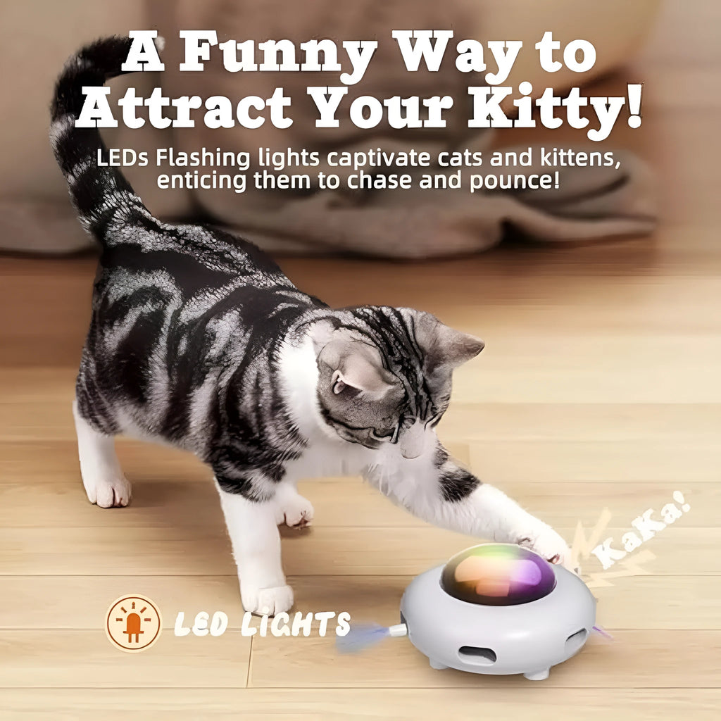 White automatic cat toy with feathers and cleaning ring on floor