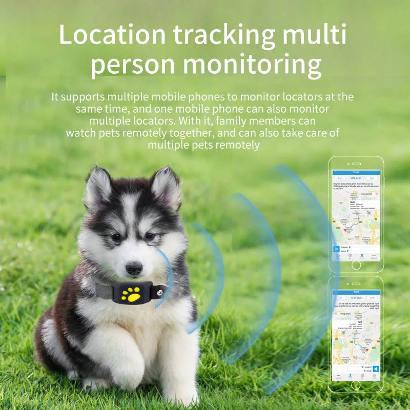 Waterproof GPS pet tracker device in multiple colours showing compact size