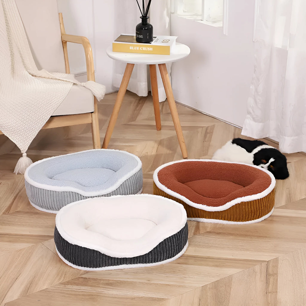 Thick plush detachable pet bed cushion in wathet colour on floor