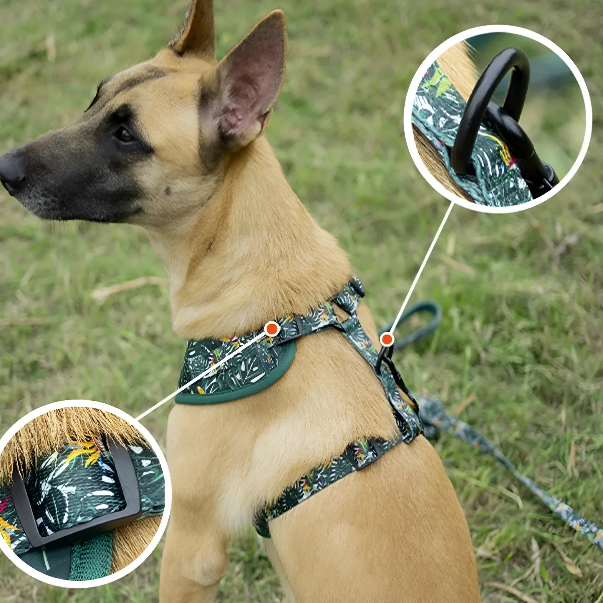Adjustable cloth dog harness vest set with haulage rope, collar, waste bag and accessories