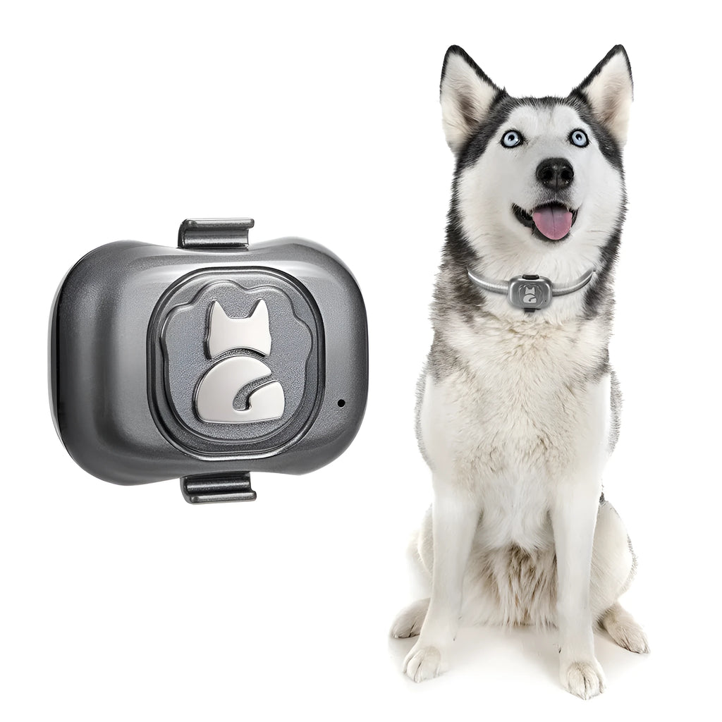 Black pet GPS tracker with hanging rope for dog or cat collar attachment