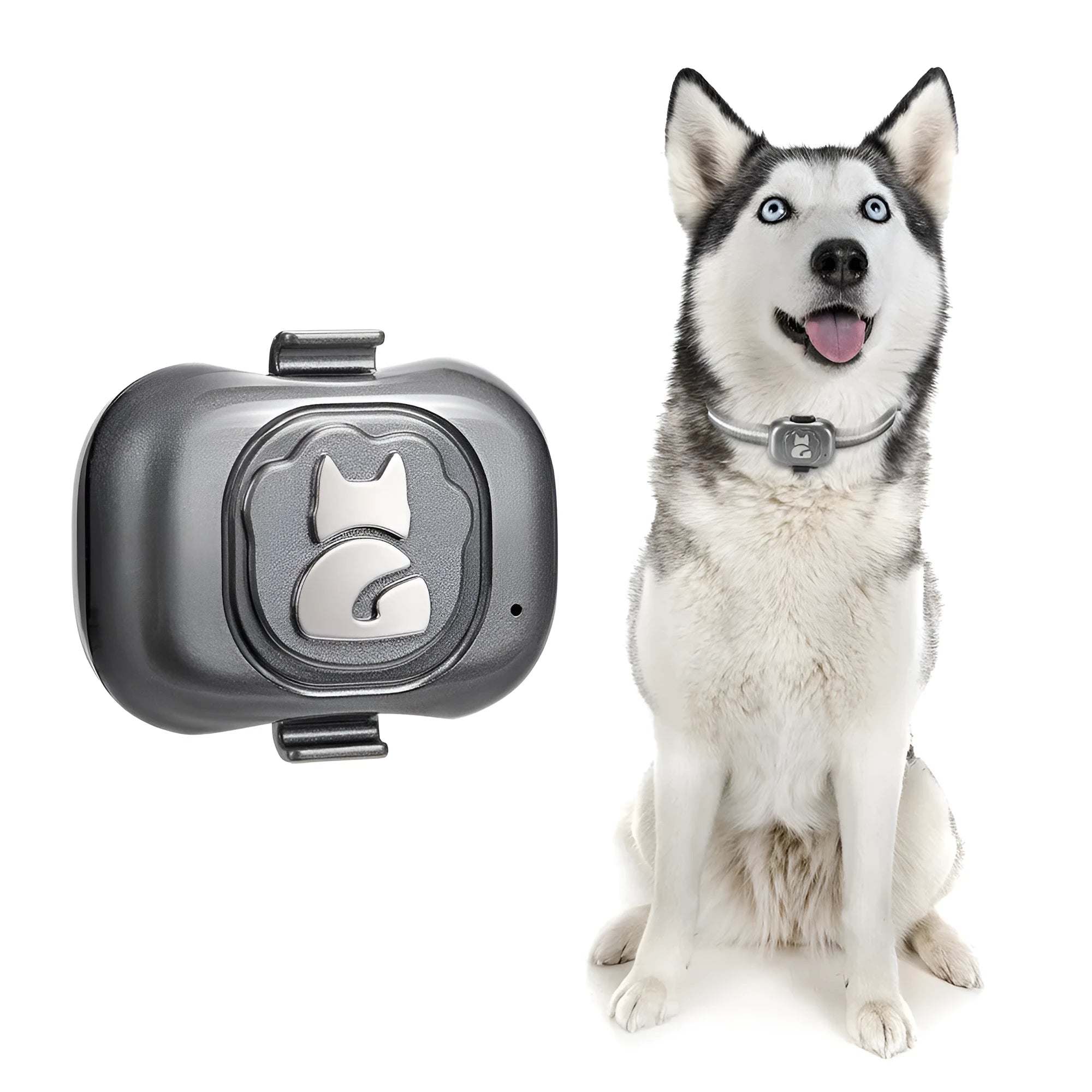 Black pet GPS tracker with hanging rope for dog or cat collar attachment