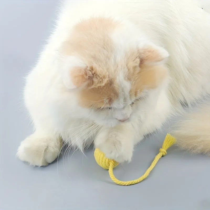 Colourful cat toy ball with attached rope and internal bell for kitten play