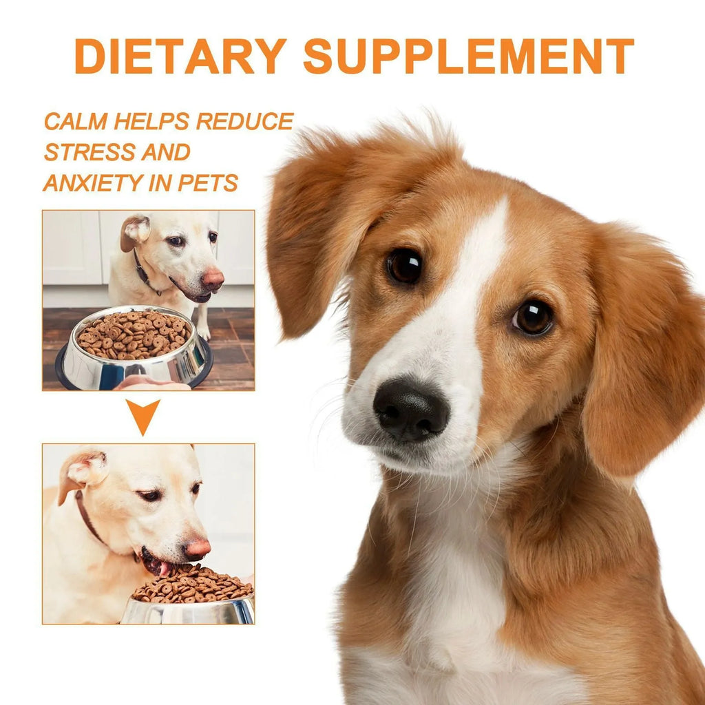 30ml bottle of hemp seed oil for pets, suitable for cats and dogs