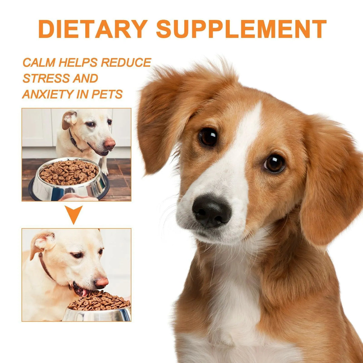 30ml bottle of hemp seed oil for pets, suitable for cats and dogs