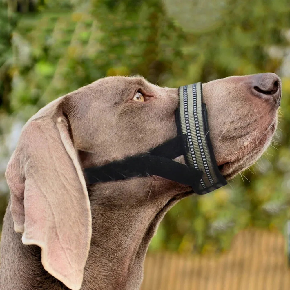 Adjustable reflective dog muzzle for medium large breeds in multiple colour options