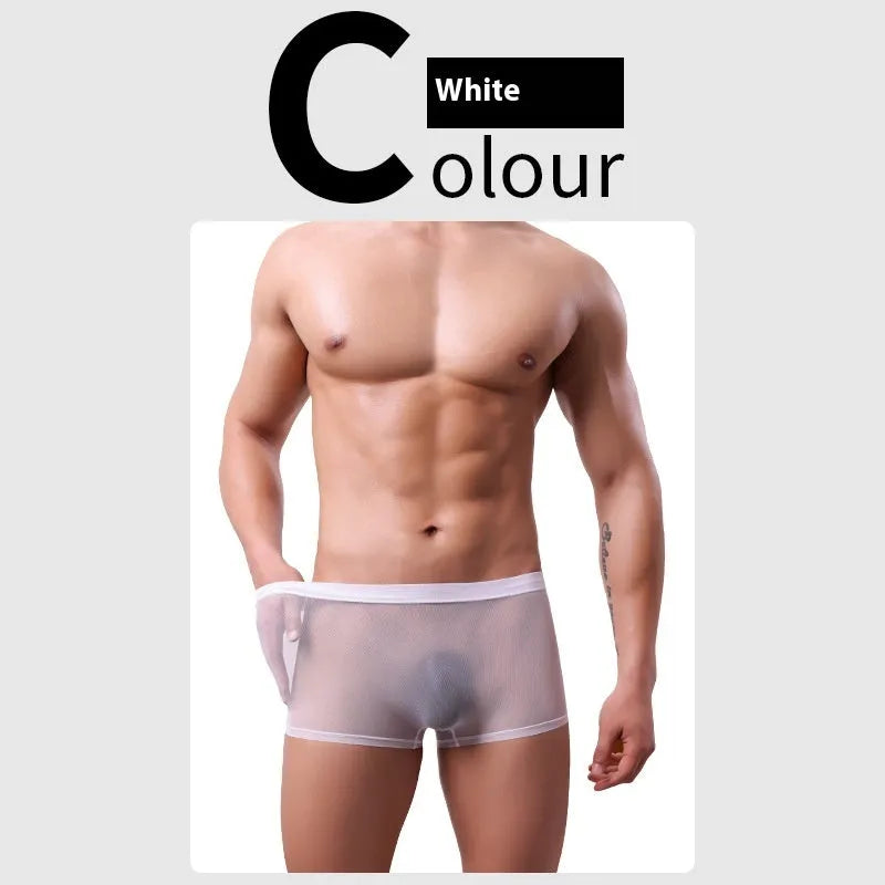 Men's low waist mesh boxer briefs in various colours on a white background.