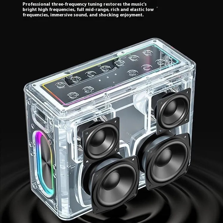 High-power outdoor karaoke Bluetooth speaker with dual microphones, 100W, waterproof, V60 black