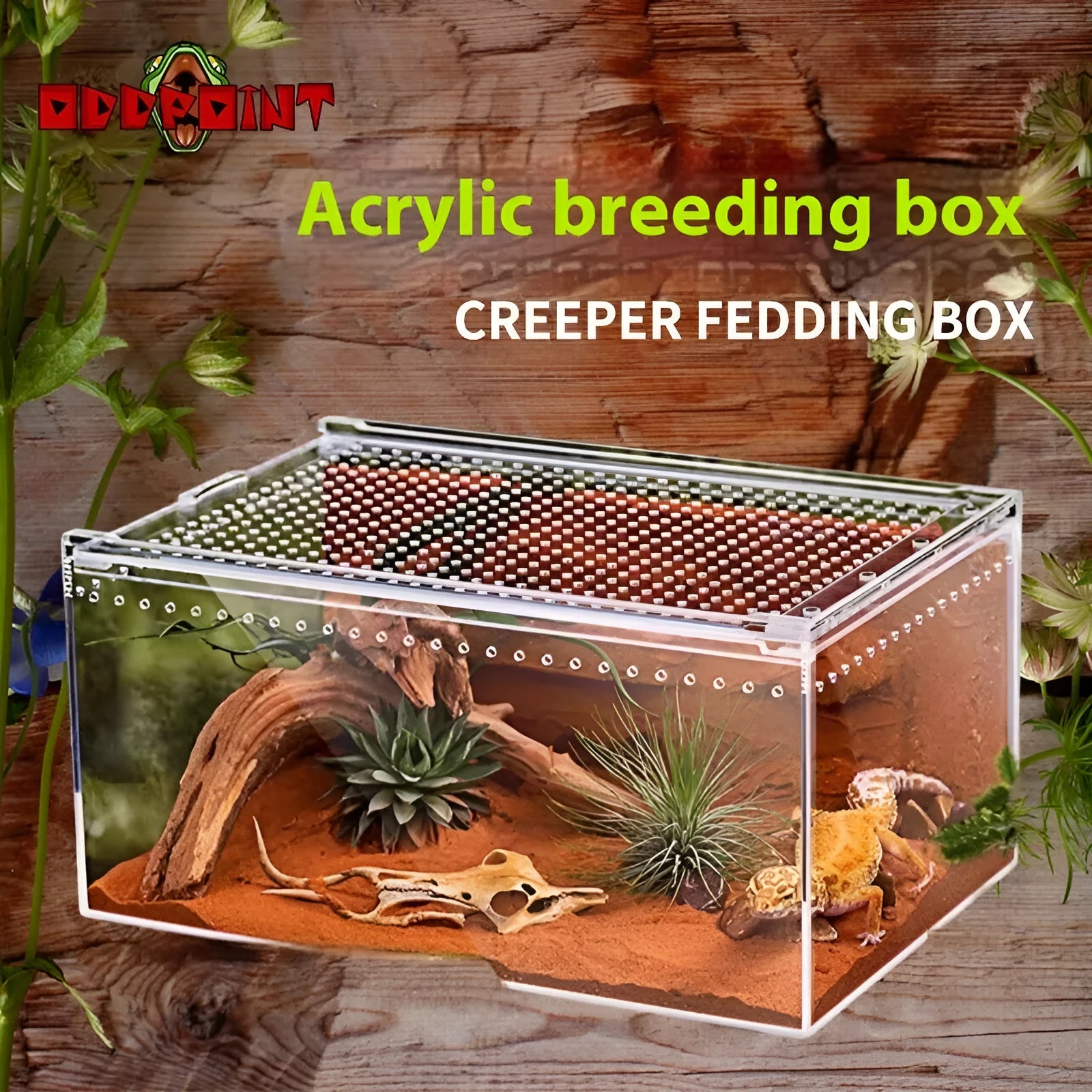Transparent acrylic reptile feeding box enclosure for pet lizards or snakes.