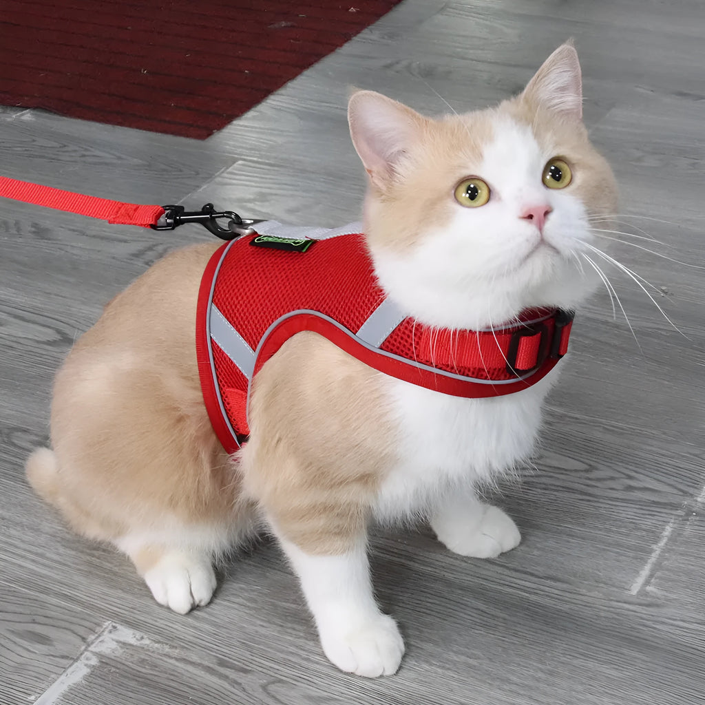 Adjustable reflective dog breast strap harness in solid colour, polyester fibre mesh, with rope handle