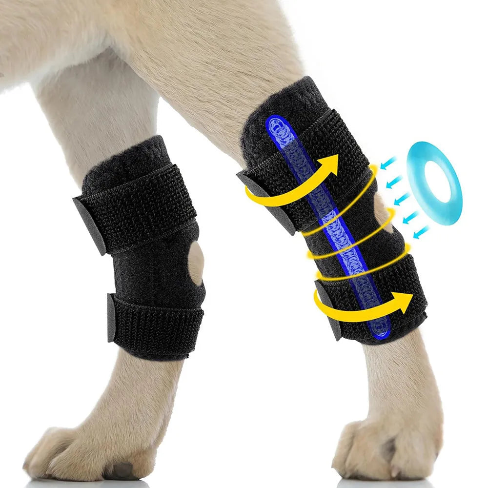 Black dog rear leg auxiliary strap made of neoprene with Velcro fastening shown on a flat surface