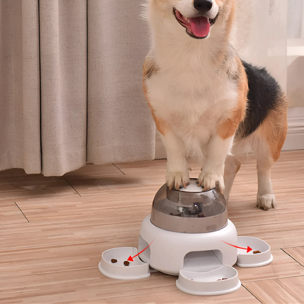 White plastic press leakage dog feeder with 500ml capacity and optional plate or disk