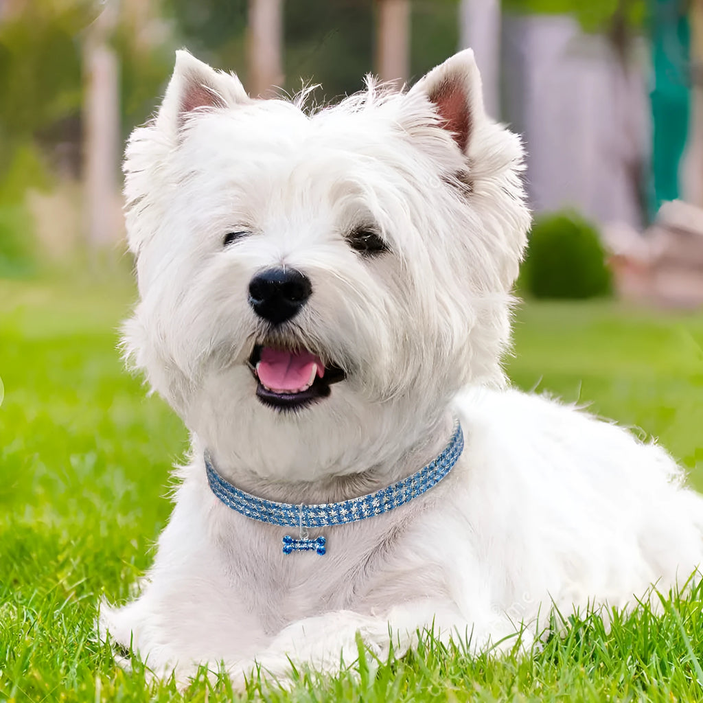 Alloy dog necklace in white with adjustable chain on a light background, three size options available