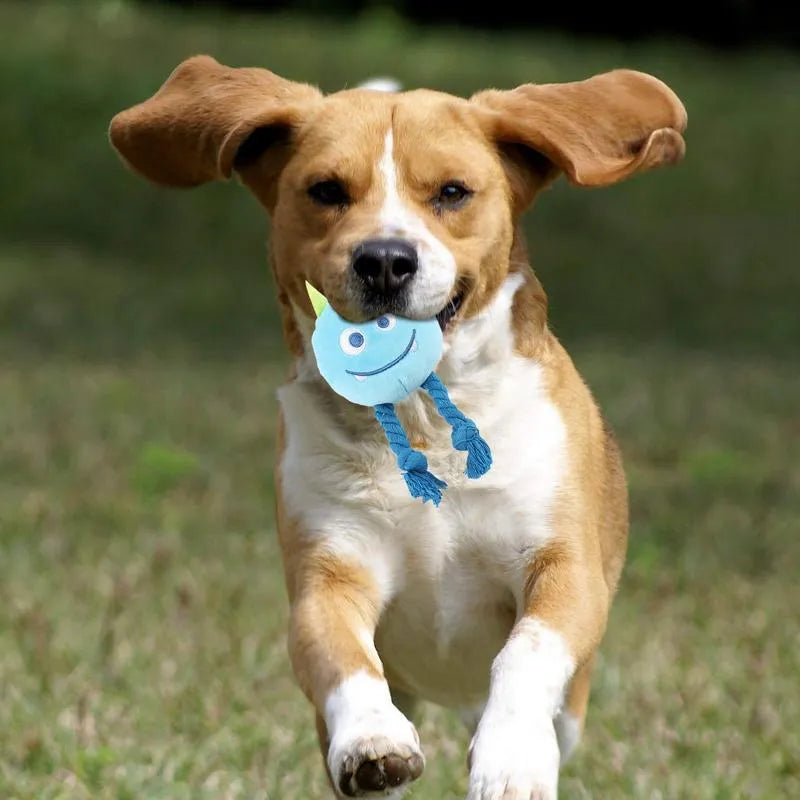 Blue cartoon-shaped dog squeaky toy with knotted cotton rope construction