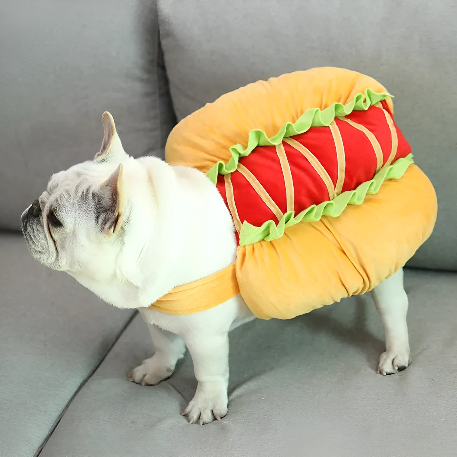Yellow dog hot dog costume on small dog with 57cm neck and 27cm length cotton synthetic fibre fabric