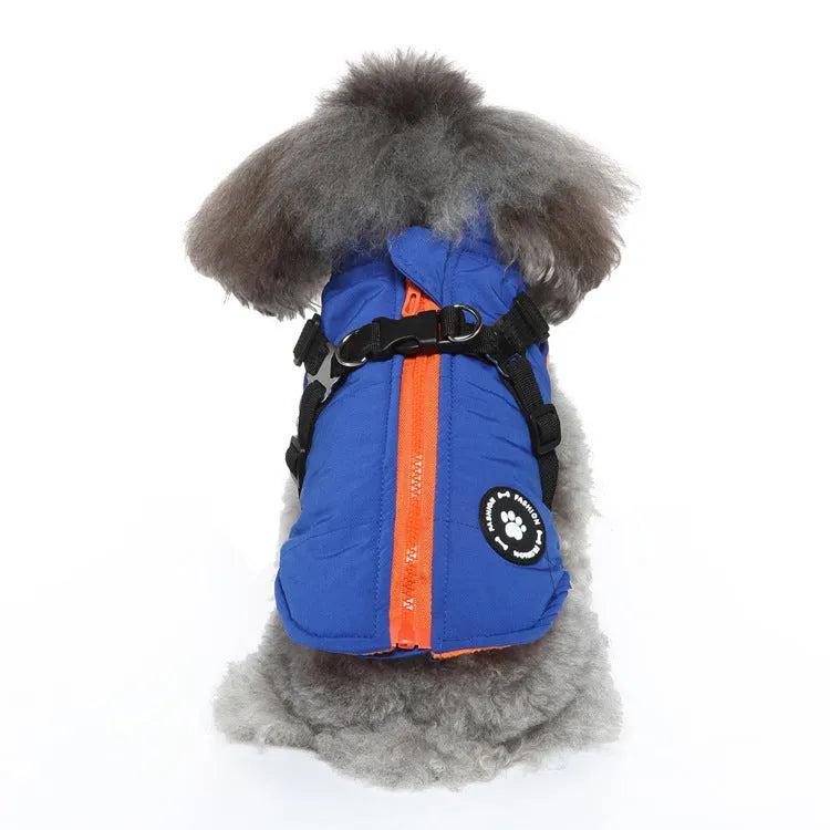 Padded dog winter jacket with a front chest strap shown in blue on a mannequin.