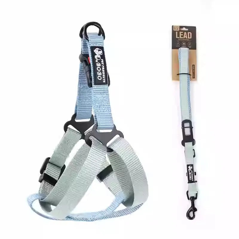 Nylon dog breast strap with hand holding rope in green blue colour on a white background
