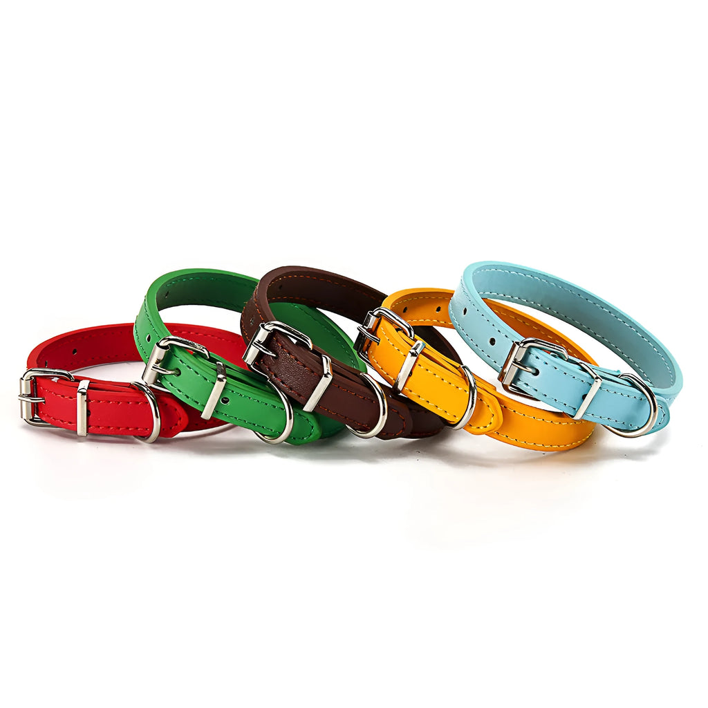 PU dog collar in coffee, sky blue, gold, green, or red, available in sizes S 1.0x30 and M 1.5x30