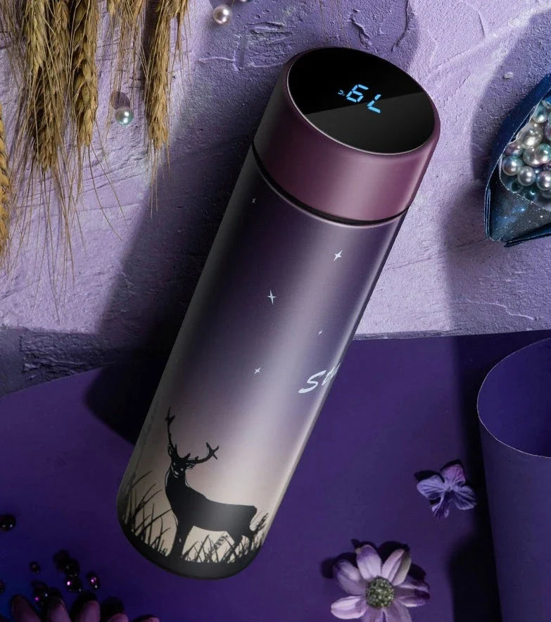 Stainless Steel Vacuum Flask with LED Temperature Display - Premium Hydration Companion for Active Lifestyles