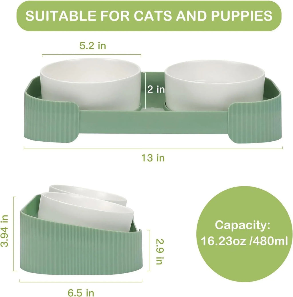 Green ceramic elevated cat bowl set with 15 degree tilt on a white base