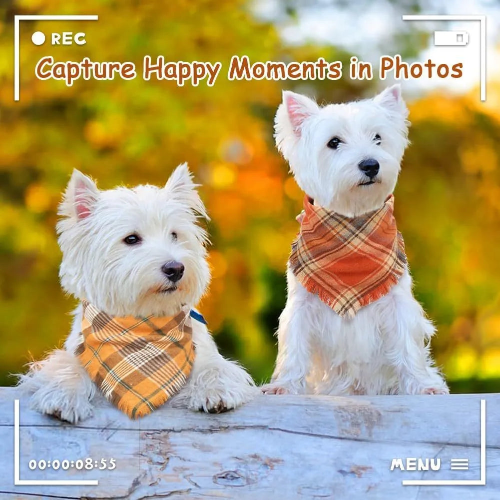 Classic plaid dog bandana with tassels edges in autumn colours