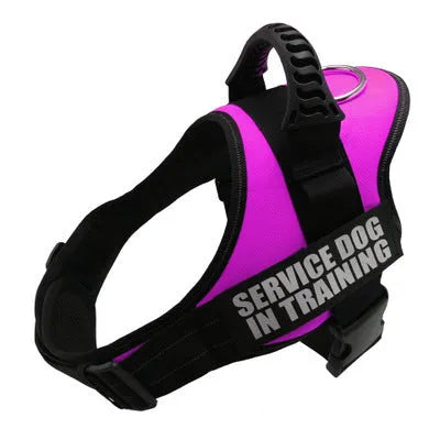 Reflective adjustable dog harness vest with top handle on a dog