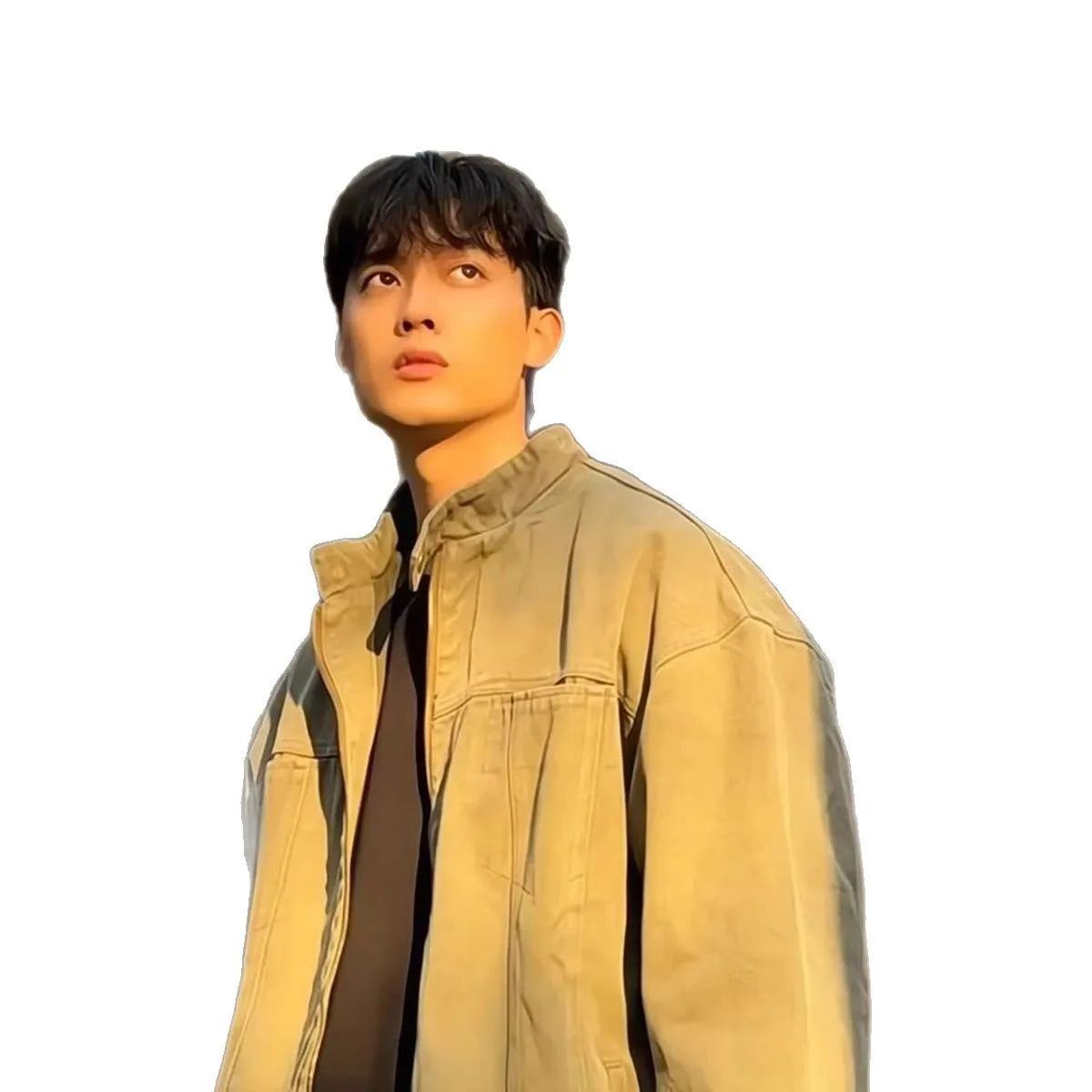 Men's stand collar overalls jacket in army green or khaki, loose fit, long sleeve, sizes M to XXXL