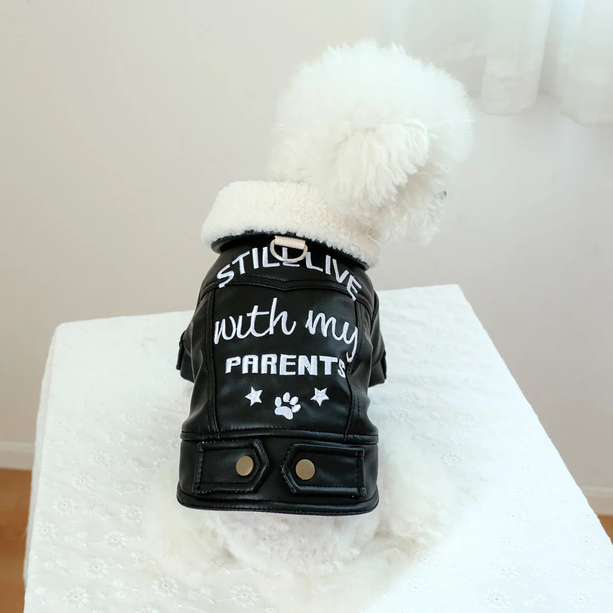 Beige fleece-lined padded dog coat on a small dog, showing chest measurement and length sizing.
