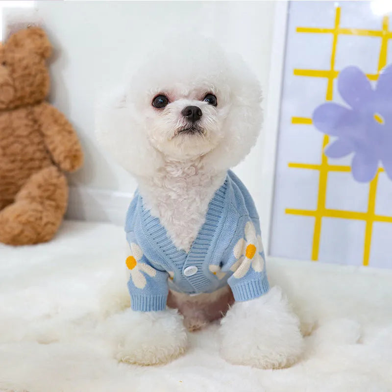 Blue polyester dog coat for a small Pomeranian on a white background.