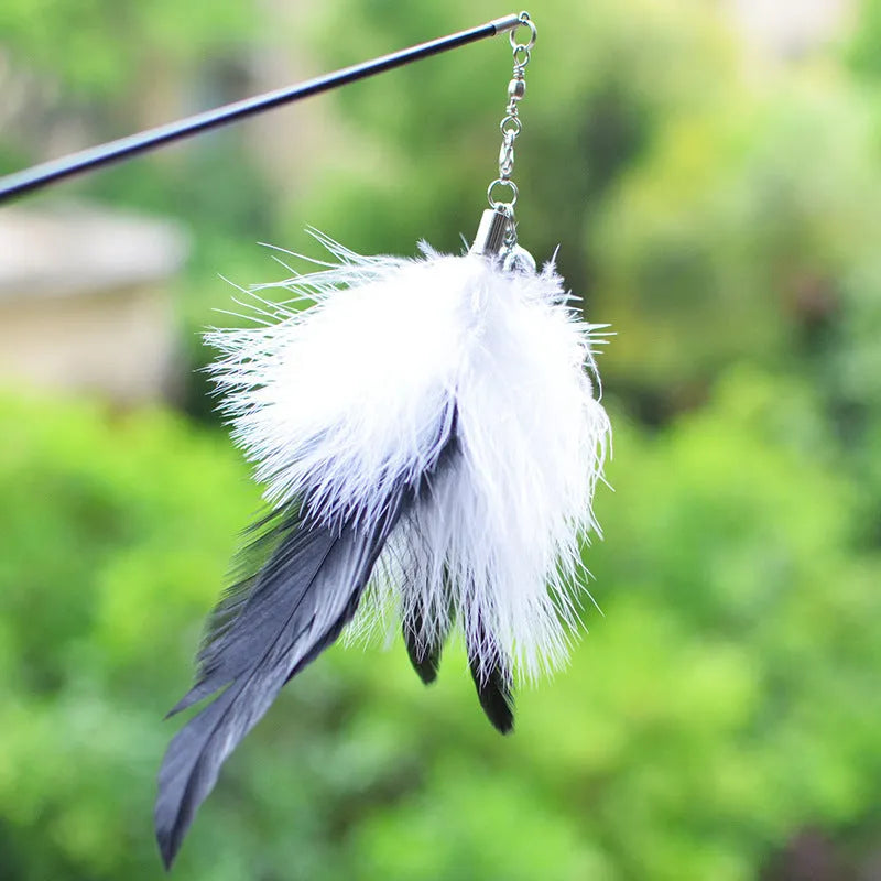 Funny cat stick with wooden handle, flexible rod, and black and white fur replacement head with feather and bell
