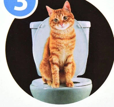 Cat toilet training system with modern design and lighting features for a convenient and mess-free bathroom experience