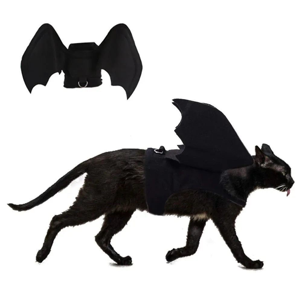 Black cloth dog Halloween bat costume with 3D foldable wings on a small pet