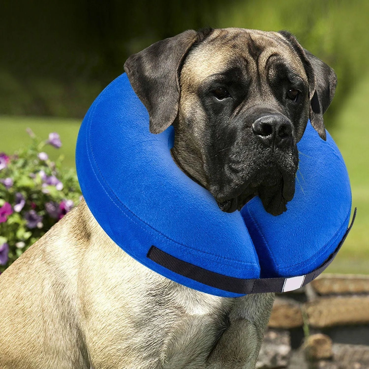Protective inflatable collar for dogs and cats in blue, cloth and PVC construction, size S to XL