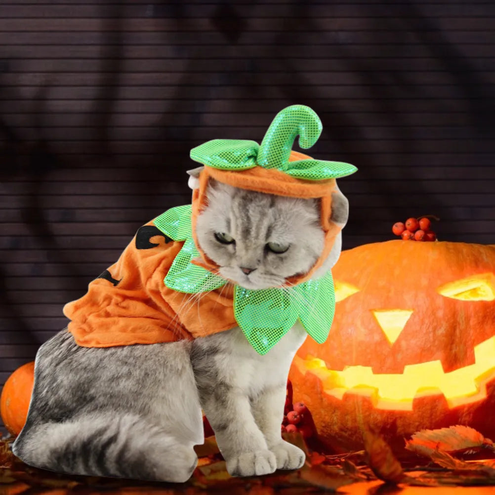 Yellow pumpkin-shaped pet costume with green leaf decoration for cats and small dogs