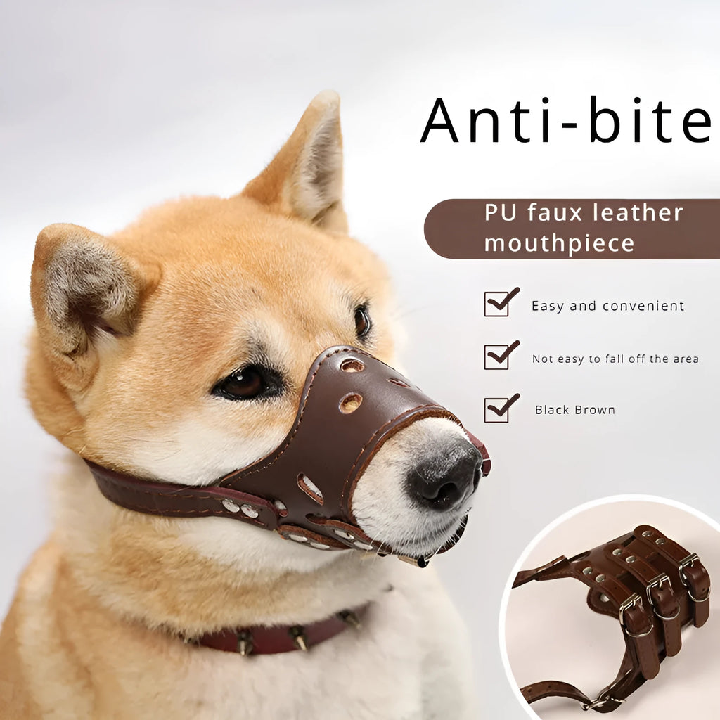 Black dog muzzle silencer mouth cover with adjustable straps on a medium-sized dog