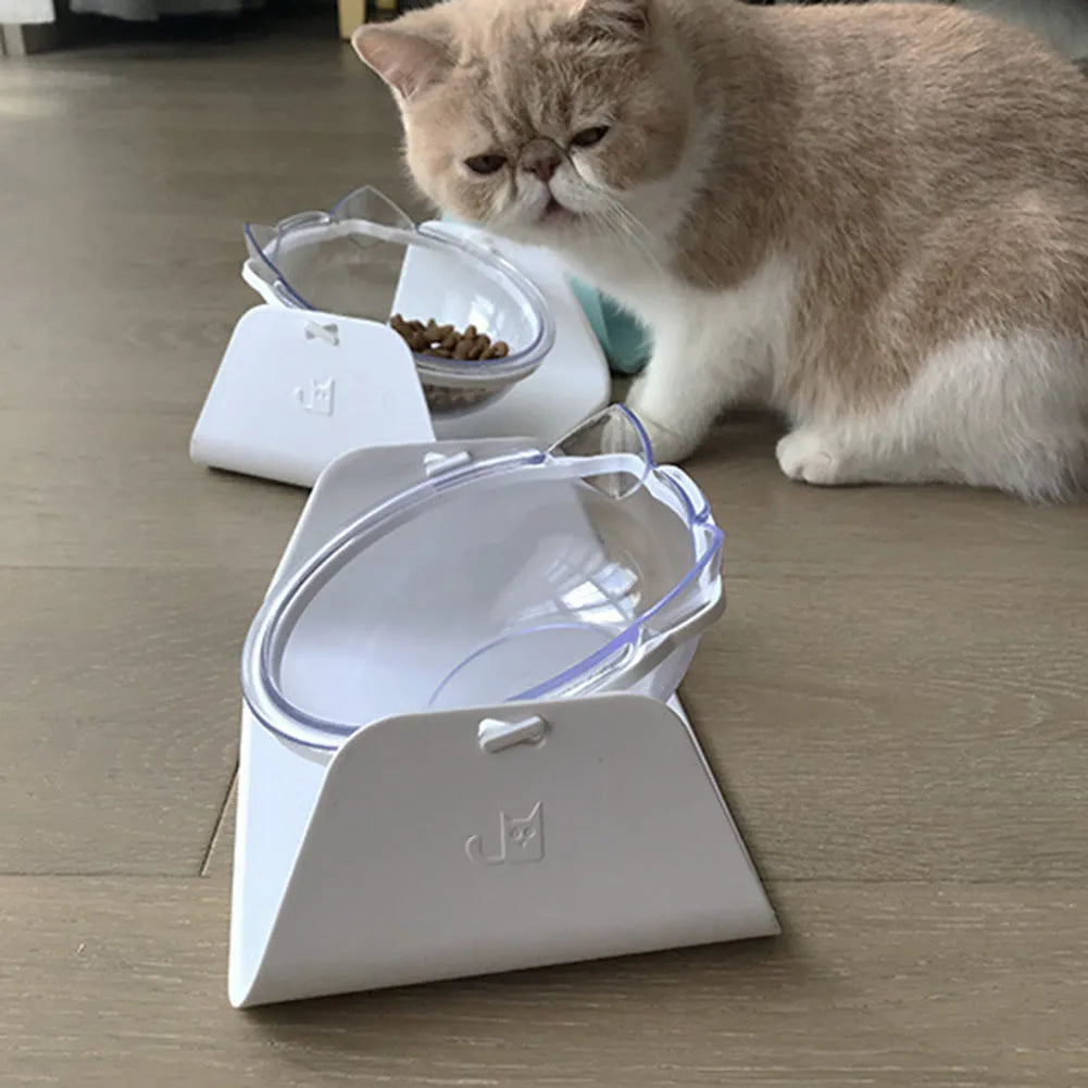 Adjustable plastic cat bowl with 15 degree tilt in Blue colour on a flat surface