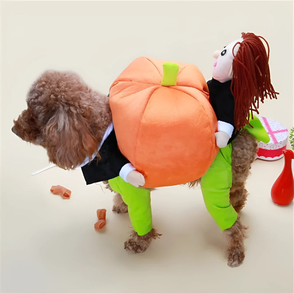 Orange cotton pet Halloween pumpkin costume with adjustable Velcro bust on a dog