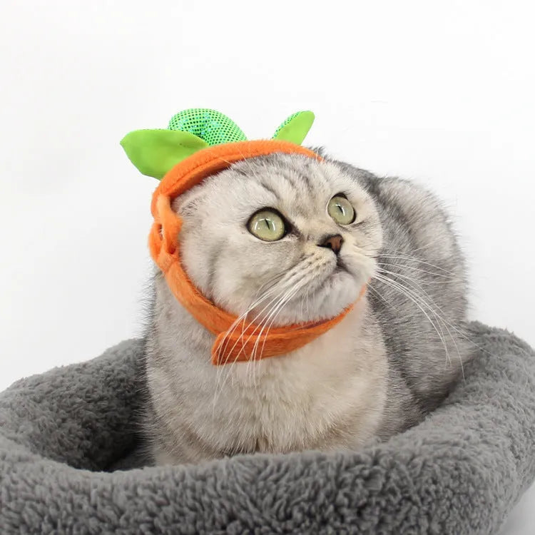 Yellow pumpkin-shaped pet costume with green leaf decoration for cats and small dogs