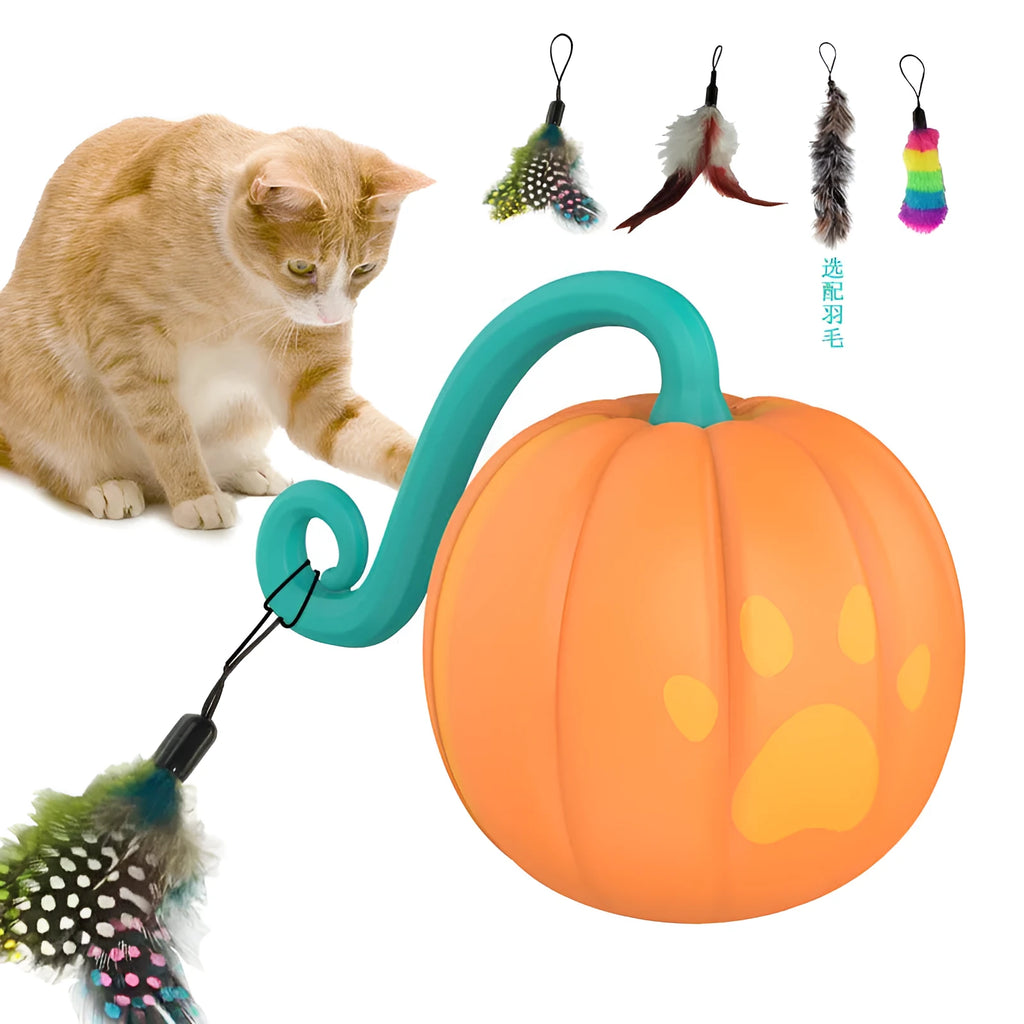 Electric cat teasing ball with LED lights in watermelon and pumpkin colour designs on wooden floor
