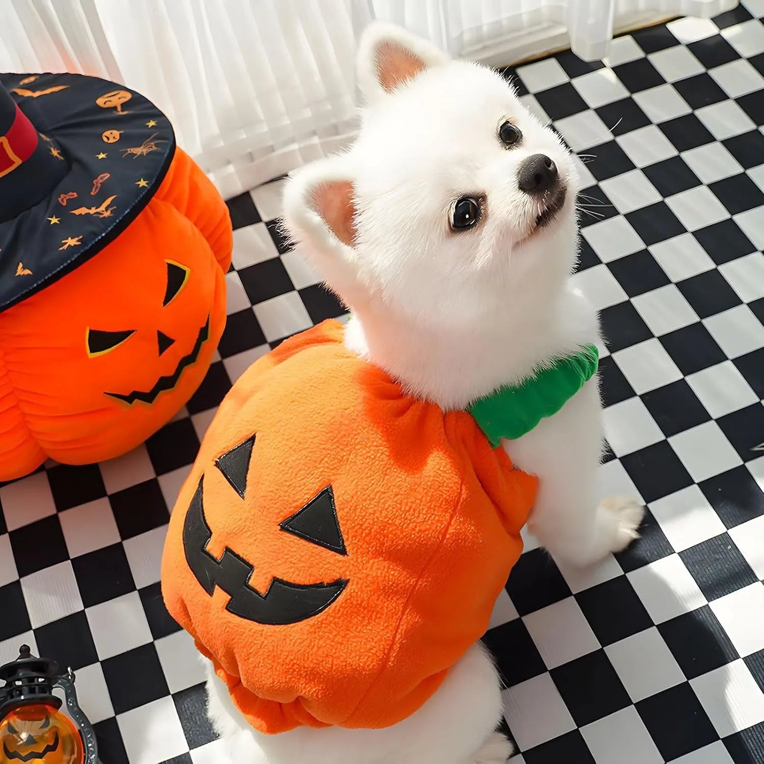 Orange plush pumpkin Halloween costume for small dog on mannequin