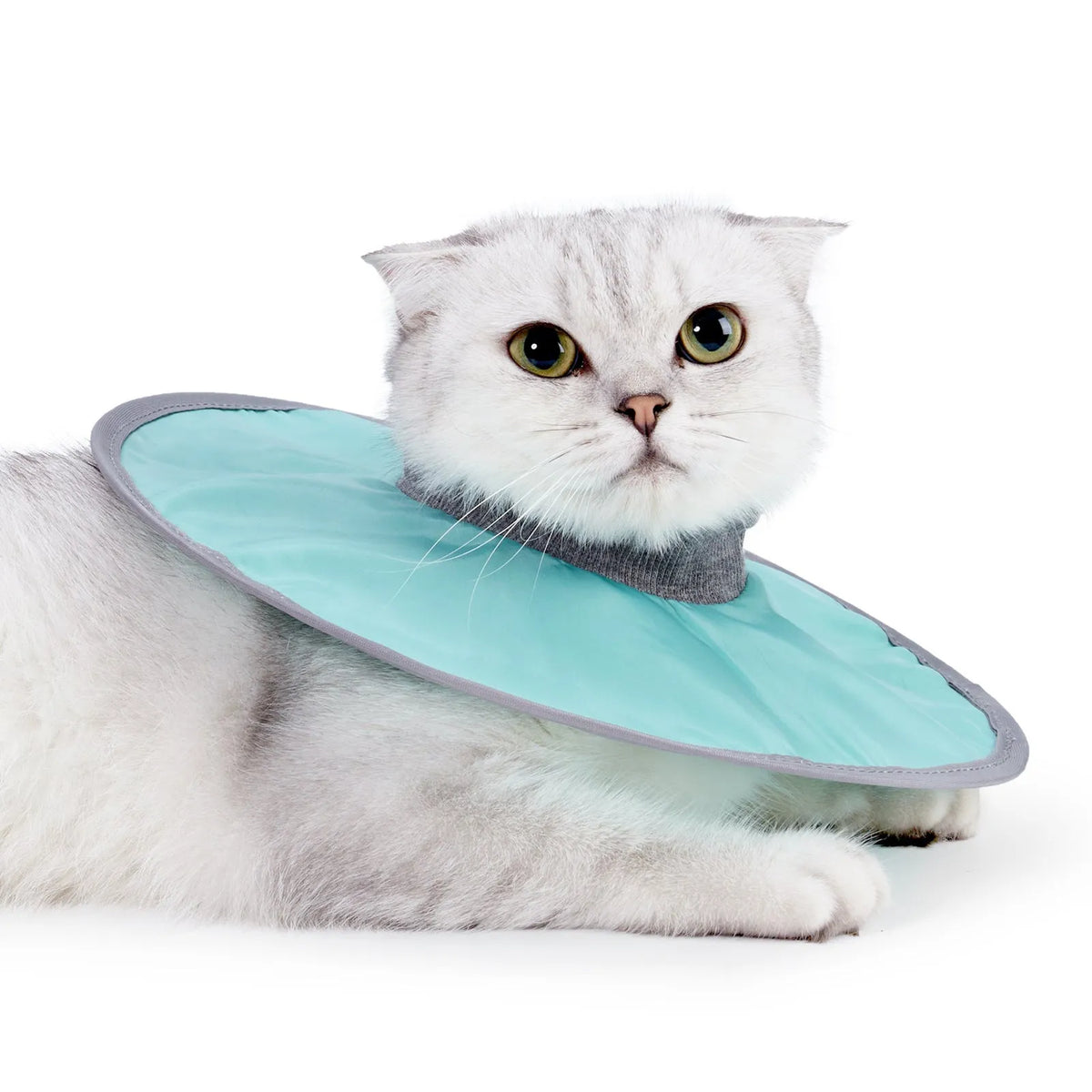Polyester cloth circle cat collar in light blue, pink, or fruit-green, sizes M L XL, 36g to 44g